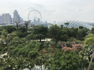 OCBCスカイウェイからの景色