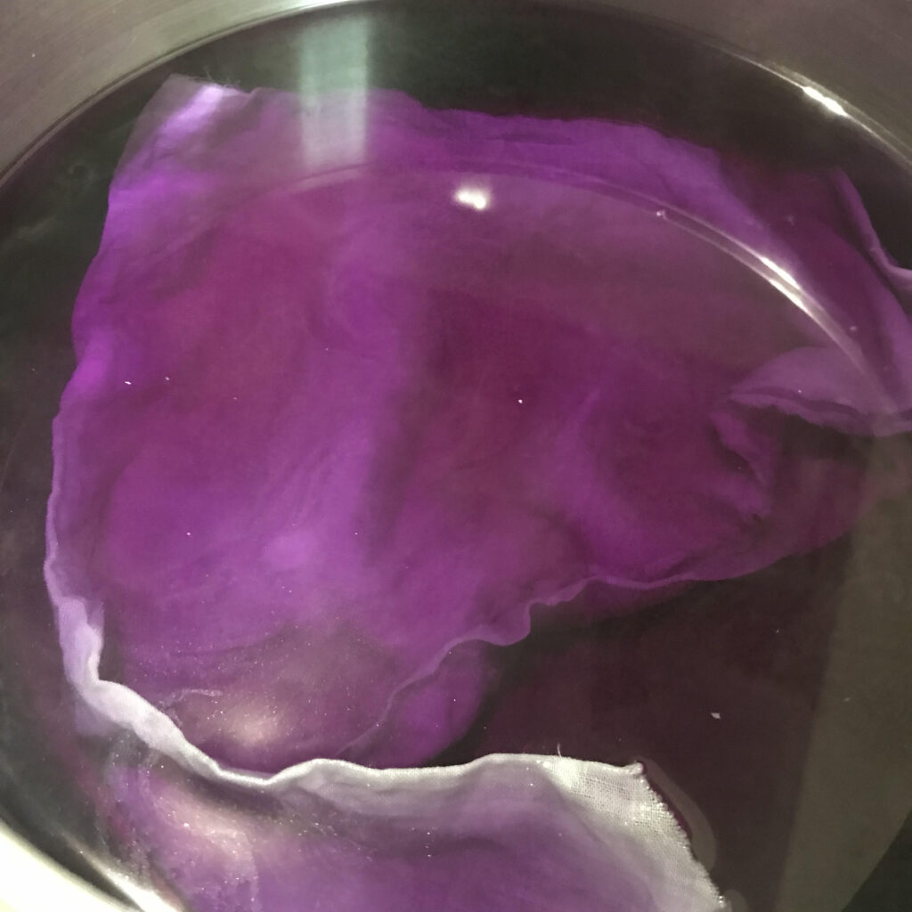 再度、紫キャベツの色素で染める